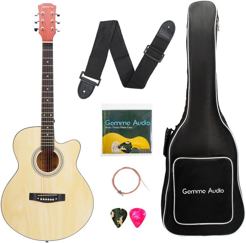 GAMMA AUDIO QD-H40Q Acoustic Guitar Basswood Plastic  (Natural)