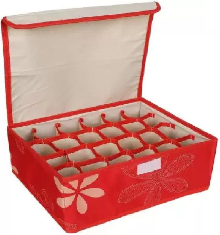 Riyansh Lingerie Storage Case  (Bra and Panty, Pack of 1)