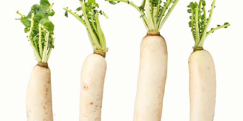Mozette Radish Seed  (46 per packet)