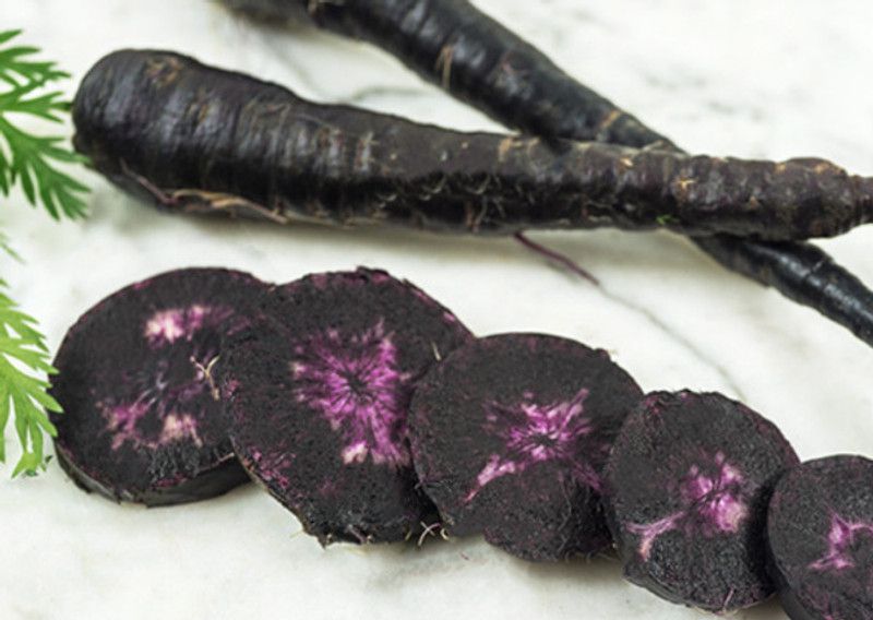 Nodoc Organic black carrot Seed  (28 per packet)