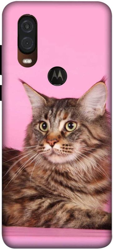 NDCOM Back Cover for Motorola One Vision Cute Cat Printed  (Multicolor, Hard Case, Pack of: 1)