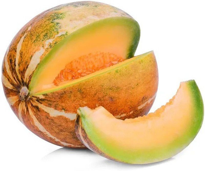 CYBEXIS PAU-62 - Musk Melon F1 Hybrid Super Kajri - (1350 Seeds) Seed  (1350 per packet)