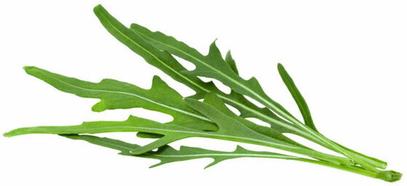 PMB Organic rocket herb Seed  (32 per packet)