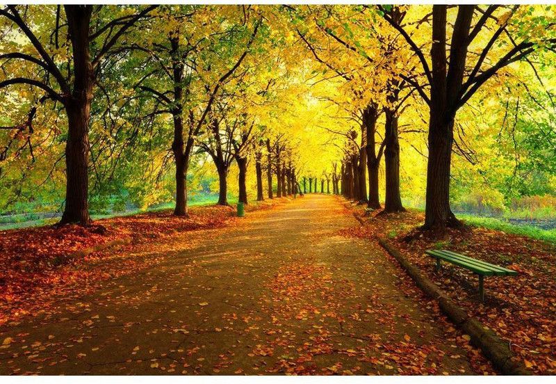 Artzfolio Autumn In City Park Vinyl Wall Sticker 42 x 28 inch (107 x 71 cms)  (28 inch X 42 inch, Multicolor)