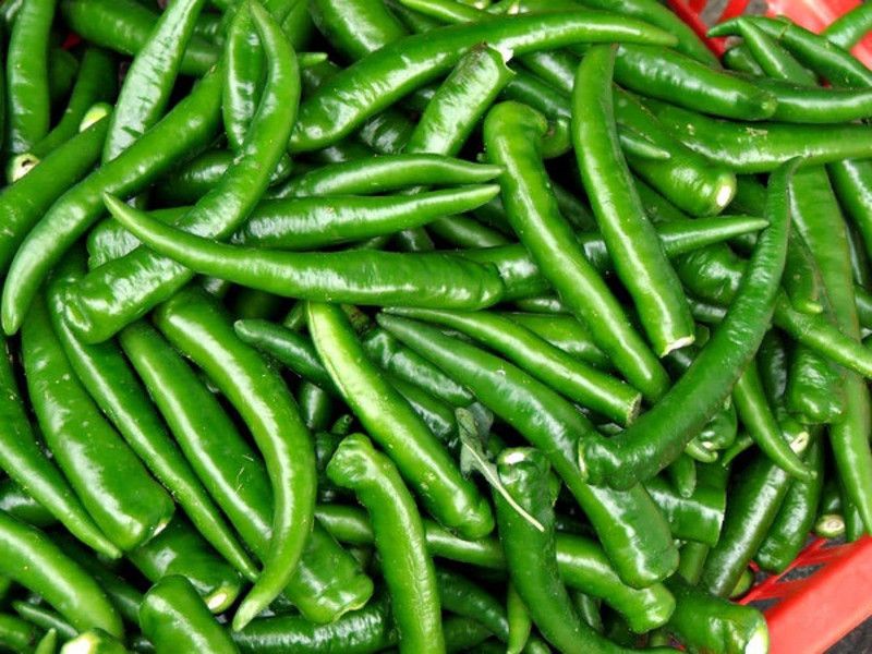 KANAYA Chilli Mirchi Seed  (40 per packet)