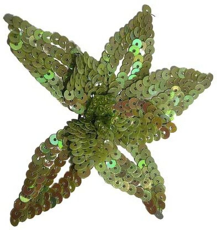 ANI ACCESSORIE Applique Patch  (1, Multicolor)