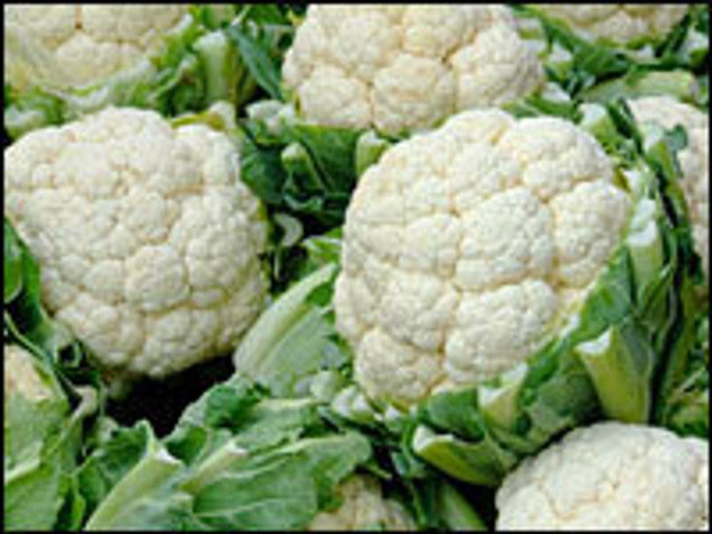Nodoc Organic Cauli flower Seed  (38 per packet)