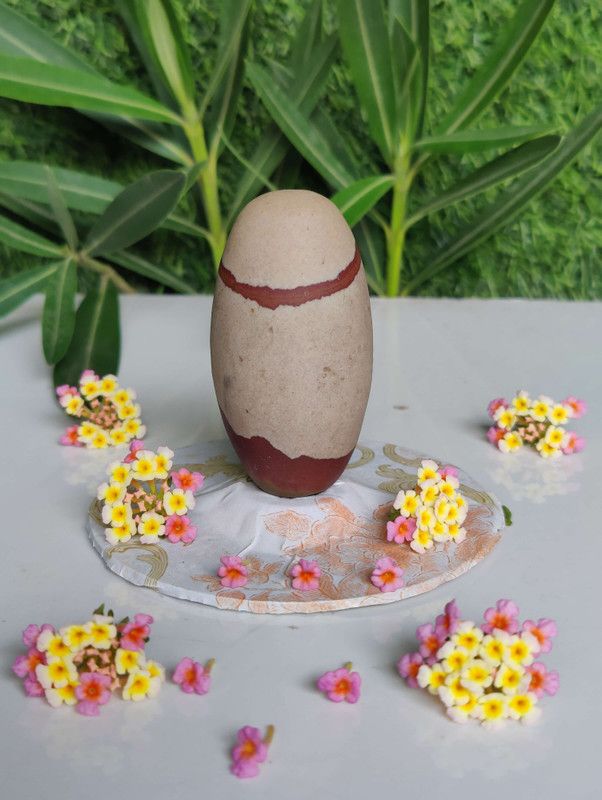 Shivam Vastu Kala Shivling Art 3 Inch Narmadeshwar Shivling Narmada shivling Banalingam Shivling White and Red Decorative Showpiece - 3 cm  (Stone, Brown, White, Black, Red)