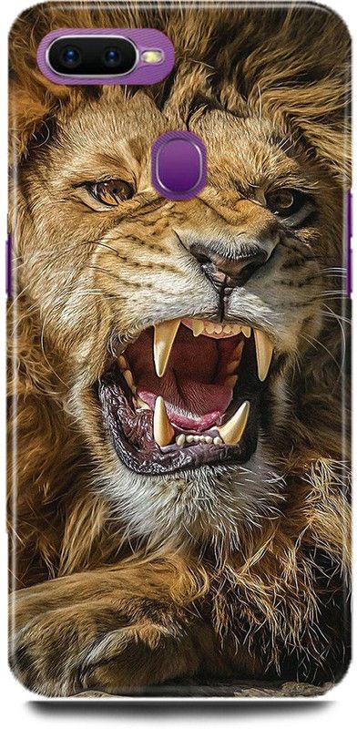 MP ARIES MOBILE COVER Back Cover for OPPO A7, CPH1901,Lion,The,King,Of,Jungal,Lion,Face,Angry,Lion,  (Multicolor, Hard Case, Pack of: 1)