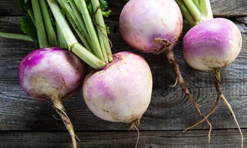 Mozette Turnip Seed  (46 per packet)