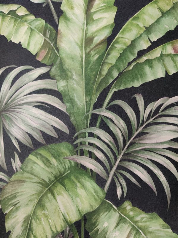 st interiors Nature Black, Green Wallpaper  (1000 cm x 53 cm)