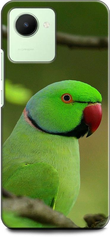 WallCraft Back Cover for Realme C30s, RMX3690 PARROT, COLORFULL PARROT, BIRD,  (Multicolor, Dual Protection, Pack of: 1)