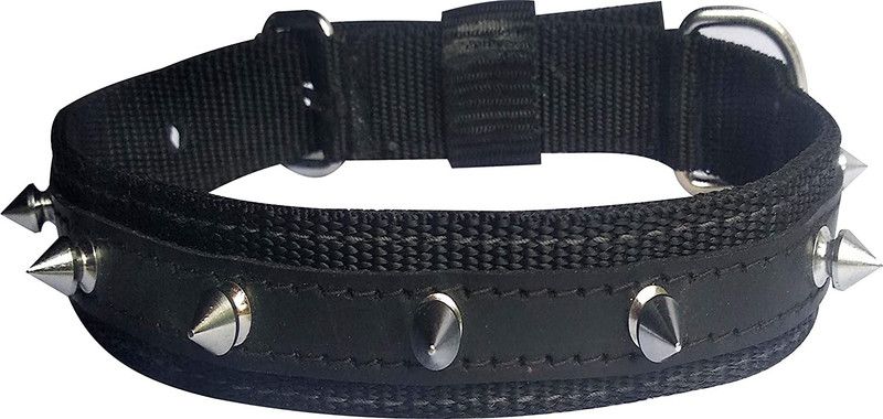 Hanu Enterprises Dog Everyday Collar  (Medium, BLACK)