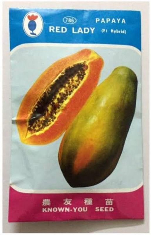 FRESH SEEDS Red Lady F1 Hybrid 786 Papaya Seeds( 270 Seeds )(RDLDD-192) Seed  (270 per packet)