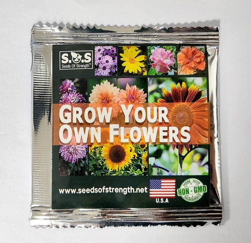 VibeX TLX-24 - Mix Color Sunflower - (1350 Seeds) Seed  (1350 per packet)