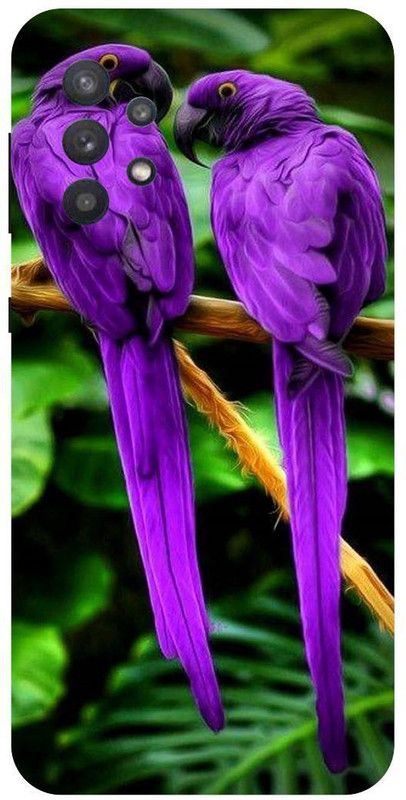 THE NARAYANA COLLECTIONS Back Cover for SAMSUNG GALAXY A32-PARROTS,LOVE,BIRDS,COUPLES,CUTE  (Multicolor, Hard Case, Pack of: 1)
