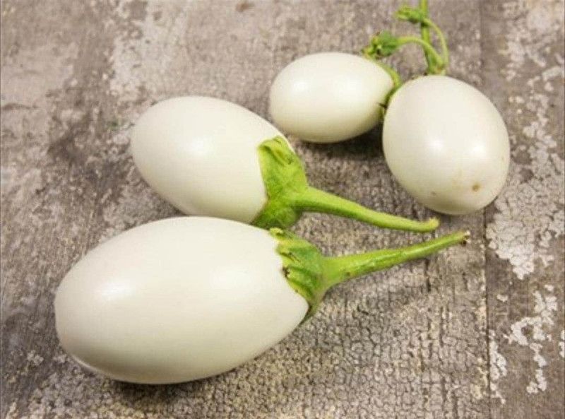 PMB Organic white brinjal Seed  (29 per packet)