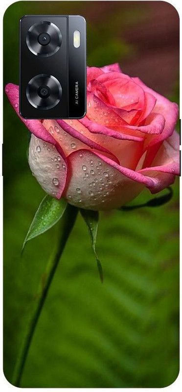 OLIWER Back Cover for OPPO A57 2022 Rose, Red Rose, Love PRINTED BACK COVER  (Multicolor, Hard Case, Pack of: 1)