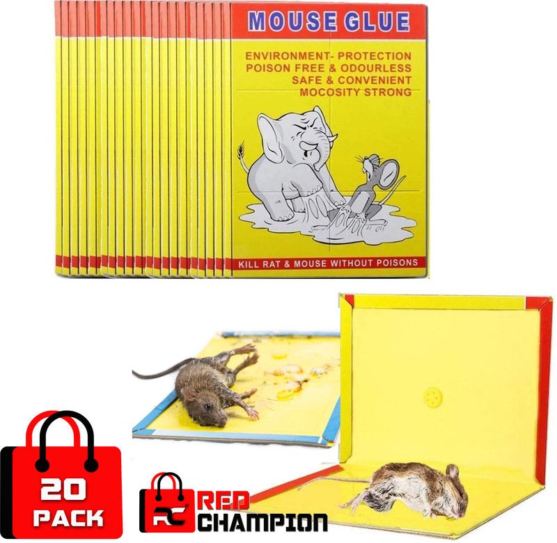 Red Champion Insect Rodent Lizard/Rat Catcher Adhesive Stick Non Poisonous Pack of -20 Live Trap