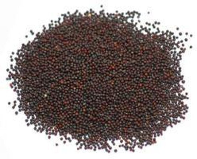 Qualtivate Broccoli Seed  (90 per packet)