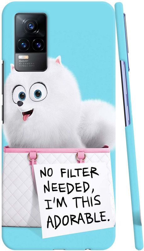 GS PANDA COLLECTIONS Back Cover for VIVO Y73  (Multicolor)
