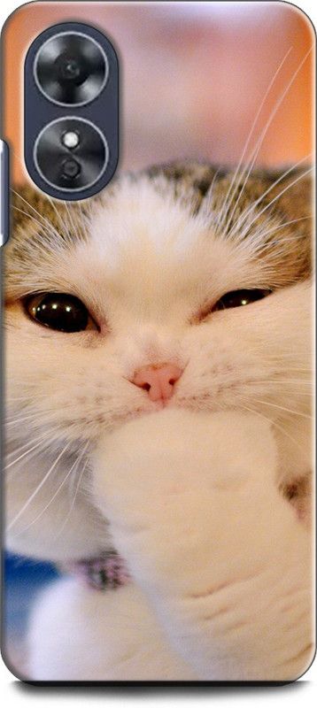 WallCraft Back Cover for OPPO A17, CPH2477 CAT, CUTE CATE, LITTILE CAT, BLUE EYES CAT, FUNNY  (Multicolor, Dual Protection, Pack of: 1)