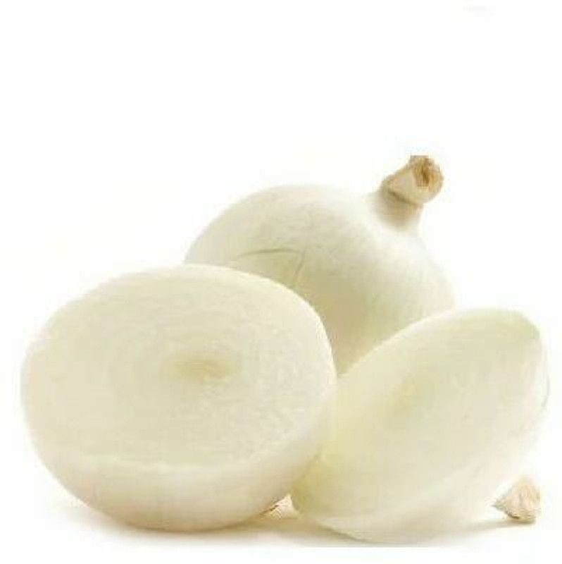 Nodoc Organic Onion white Seed  (22 per packet)