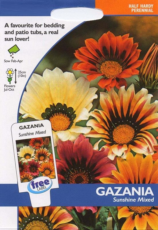 CYBEXIS Flowers - Gazania Talent Mixed Seed  (1 g)