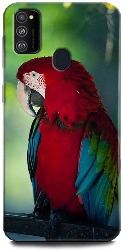 WallCraft Back Cover for Samsung Galaxy M30s PARROT, COLORFULL PARROT, BIRD,  (Multicolor, Dual Protection, Pack of: 1)