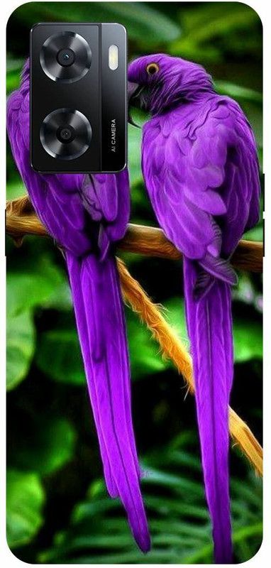 Dimora Back Cover for OPPO A 57e ,PARROTS FOREST ANIMALS COUPLE  (Multicolor, Hard Case, Pack of: 1)