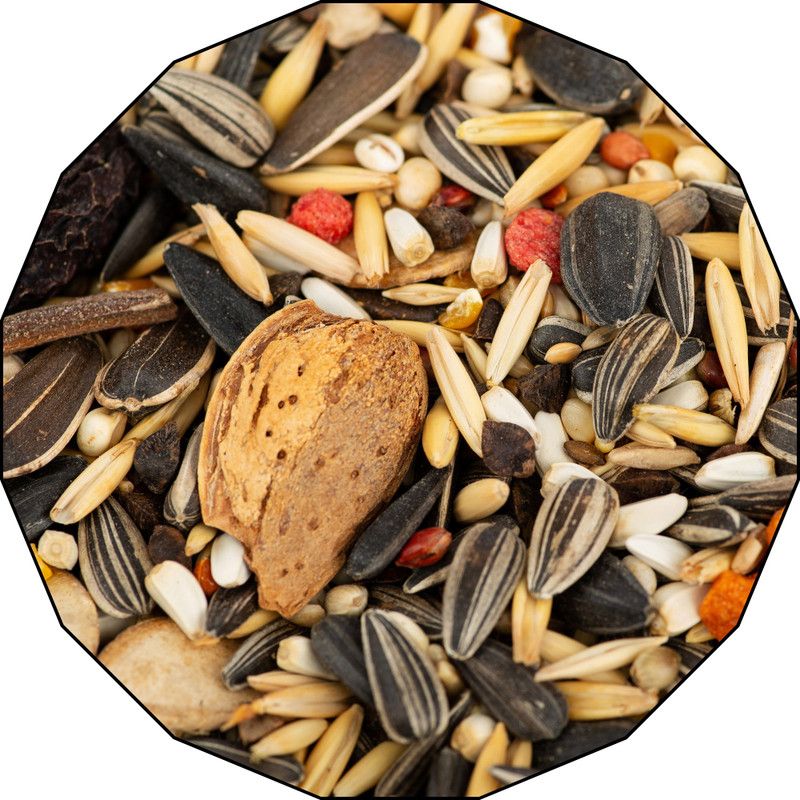 Adult Dry African Grey Parrot, Sun Conure, Macaw, Lovebird, Alexander Bird Food Tropical Fruit 0.9 kg Dry Adult Bird Food