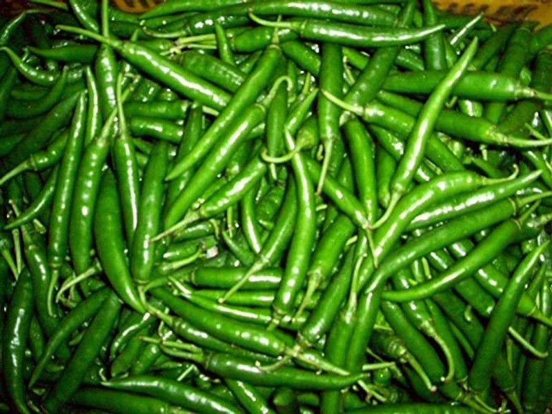 KANAYA Chilli Seeds Hot Jwala Hybrid Vegetable Seed  (200 per packet)
