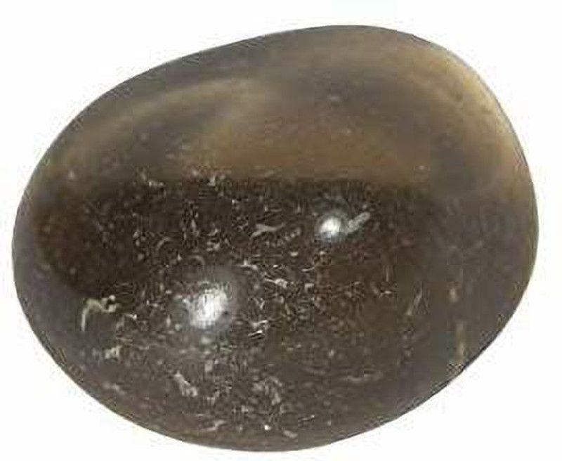 hoseki Smoky Quartz Dhunela Smoky Topaz 64.6ct Regular Asymmetrical Crystal Stone  (Multicolor 1 Pieces)