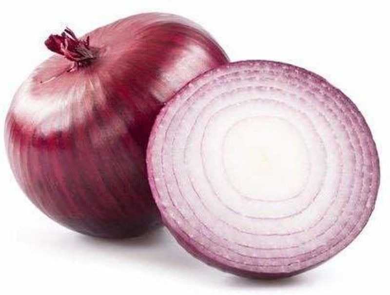 KANAYA Red Onion Hybrid Vegetable Seed  (275 per packet)