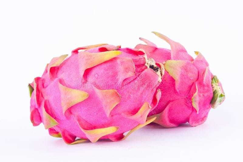 XOLDAA DRAGON FRUIT SEEDS Seed  (24 per packet)