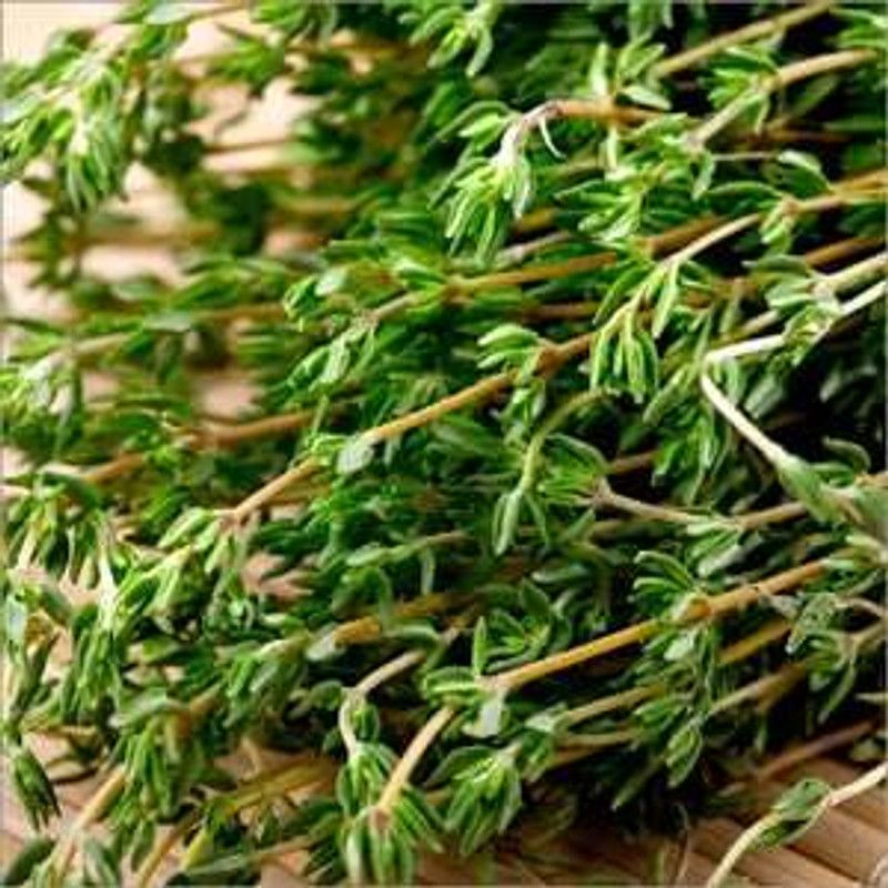 Mozette Organic thyme herb Seed  (34 per packet)