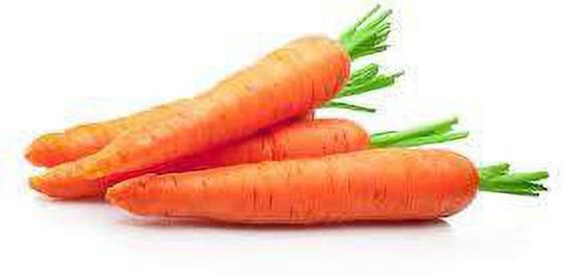 Paudha ORANGE CARROT SEEDS Seed  (86 per packet)