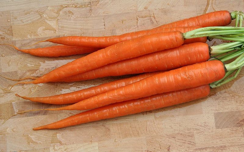 WILLVINE Carrot - Amsterdam Forcing 2 Seed  (1000 per packet)