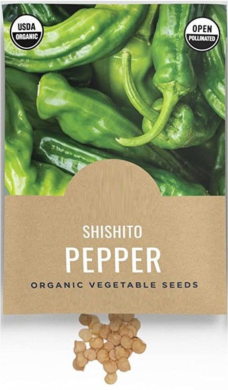 WILLVINE HUA-7 Shishito Chilli Seeds Seed  (400 per packet)