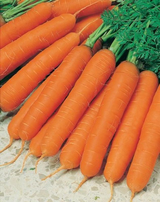Ishika Carrot Nantes, Gajar Seed  (100 per packet)