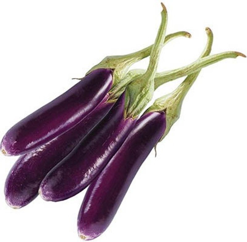 Nodoc Brinjal Long Seed  (35 per packet)