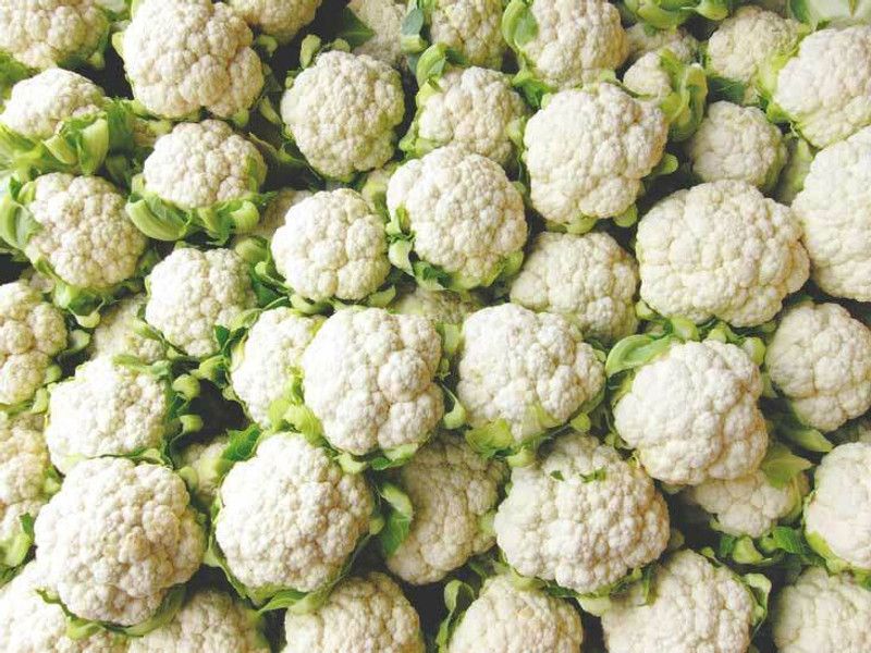 Nodoc Cauli flower Vegetable Seed  (33 per packet)