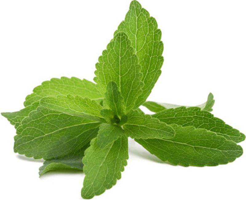 PMB Organic stevia herb Seed  (39 per packet)