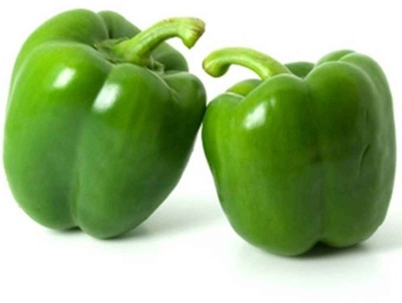 Mozette Green capsicum Seed  (41 per packet)