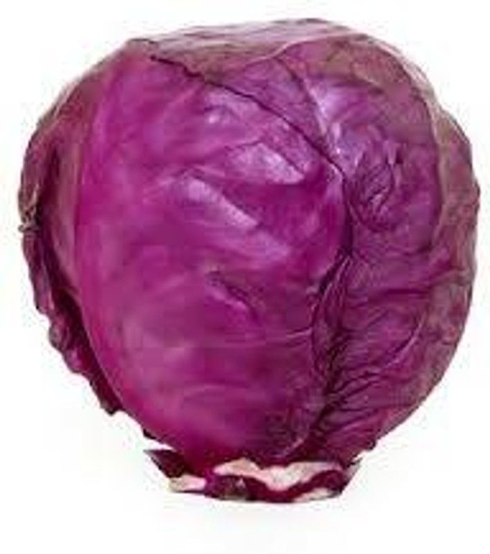 Nodoc Organic Cabbage purple Seed  (38 per packet)