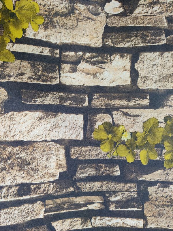 st interiors Classics Brown Wallpaper  (1000 cm x 53 cm)
