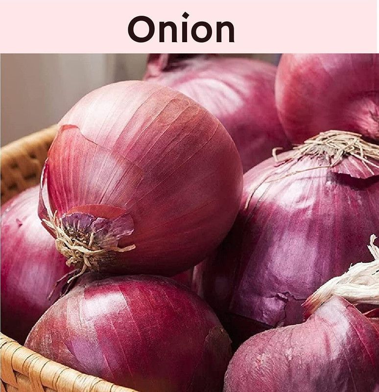 WILLVINE TLX-857 Onion Seeds for Kitchen Gardening Seed  (1000 per packet)