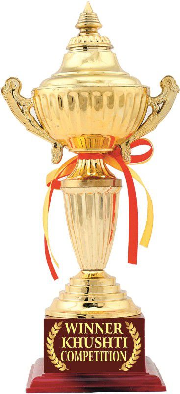 AARK INDIA Award : Khushti Competition Trophy Gift : (PC-00506) Trophy  (11.5 Inches)