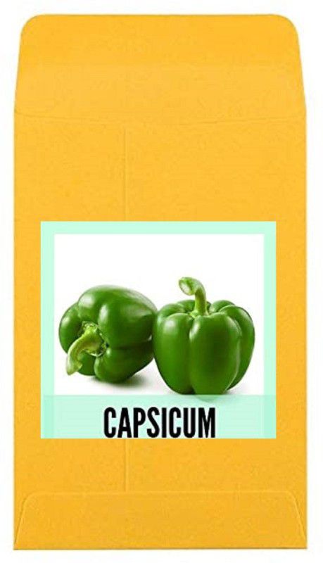 CYBEXIS Guarenteed Germination Green Capsicum Seeds600 Seeds Seed  (600 per packet)