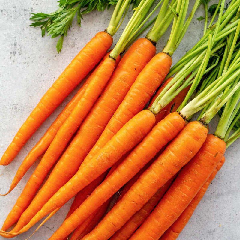 XOLDA Carrot Hybrid Seed  (32 per packet)